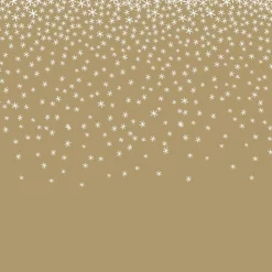 Sale Serviette x20 40x40 3plis paille