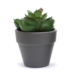 Clearance FLOURISH Succulente artificielle en pot