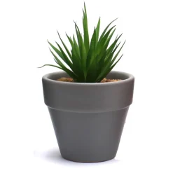 Clearance FLOURISH Succulente artificielle en pot