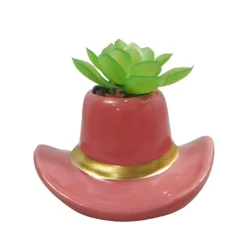 Best FLOURISH Succulente chapeau cowboy