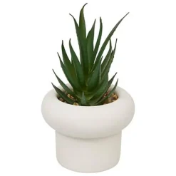 Sale Succulente pot beton