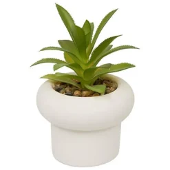 Sale Succulente pot beton