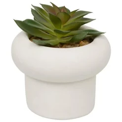 Sale Succulente pot beton
