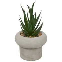 Sale Succulente pot beton