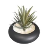 Clearance FLOURISH Succulente pot rond