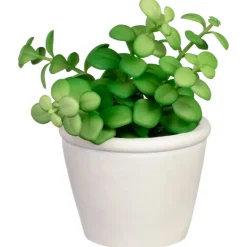 Discount Succulente pot texture