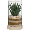 Hot FLOURISH Succulente pot verre & bois