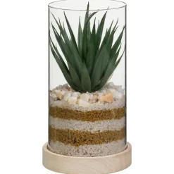 Hot FLOURISH Succulente pot verre & bois
