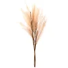 Outlet NATURAL HOME Tige pampa artificielle beige