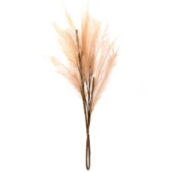 Outlet NATURAL HOME Tige pampa artificielle beige