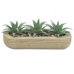 FLOURISH Trio succulentes