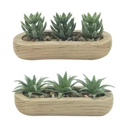 FLOURISH Trio succulentes