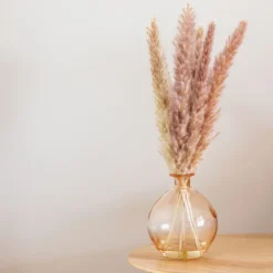 Sale PURE HARMONY Vase givre avec pampa