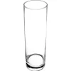 Hot Vase transparent